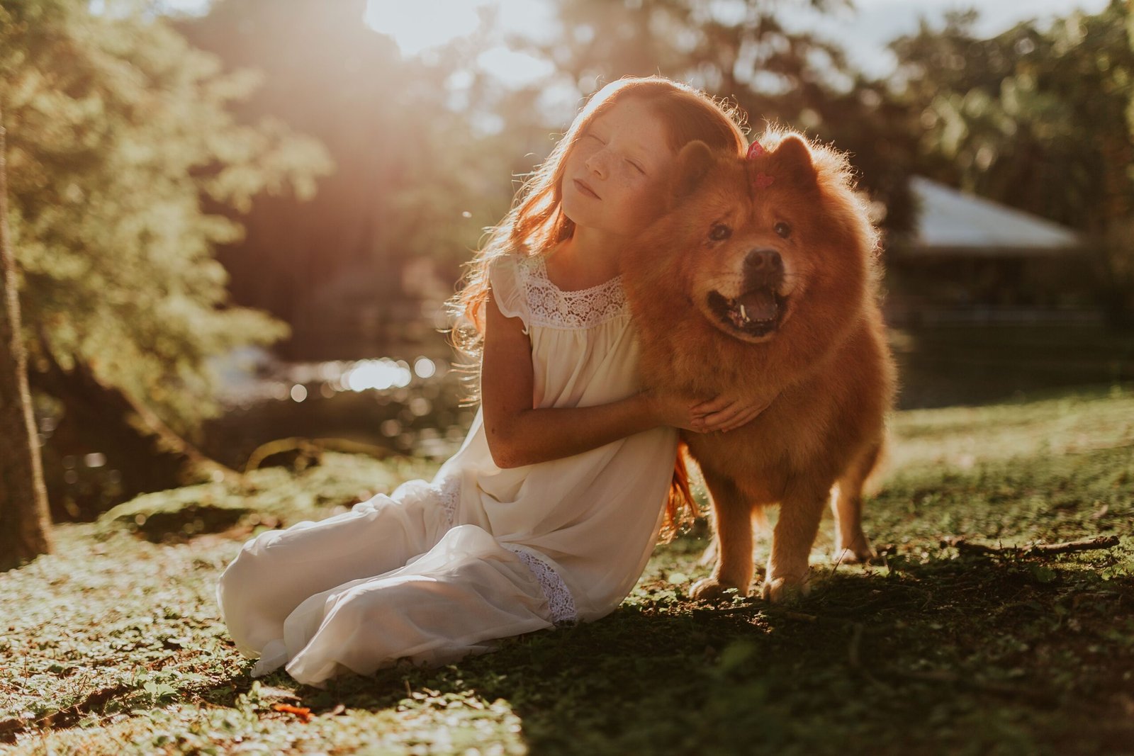 The Ultimate Guide to Choosing the Right Pet for Your Family