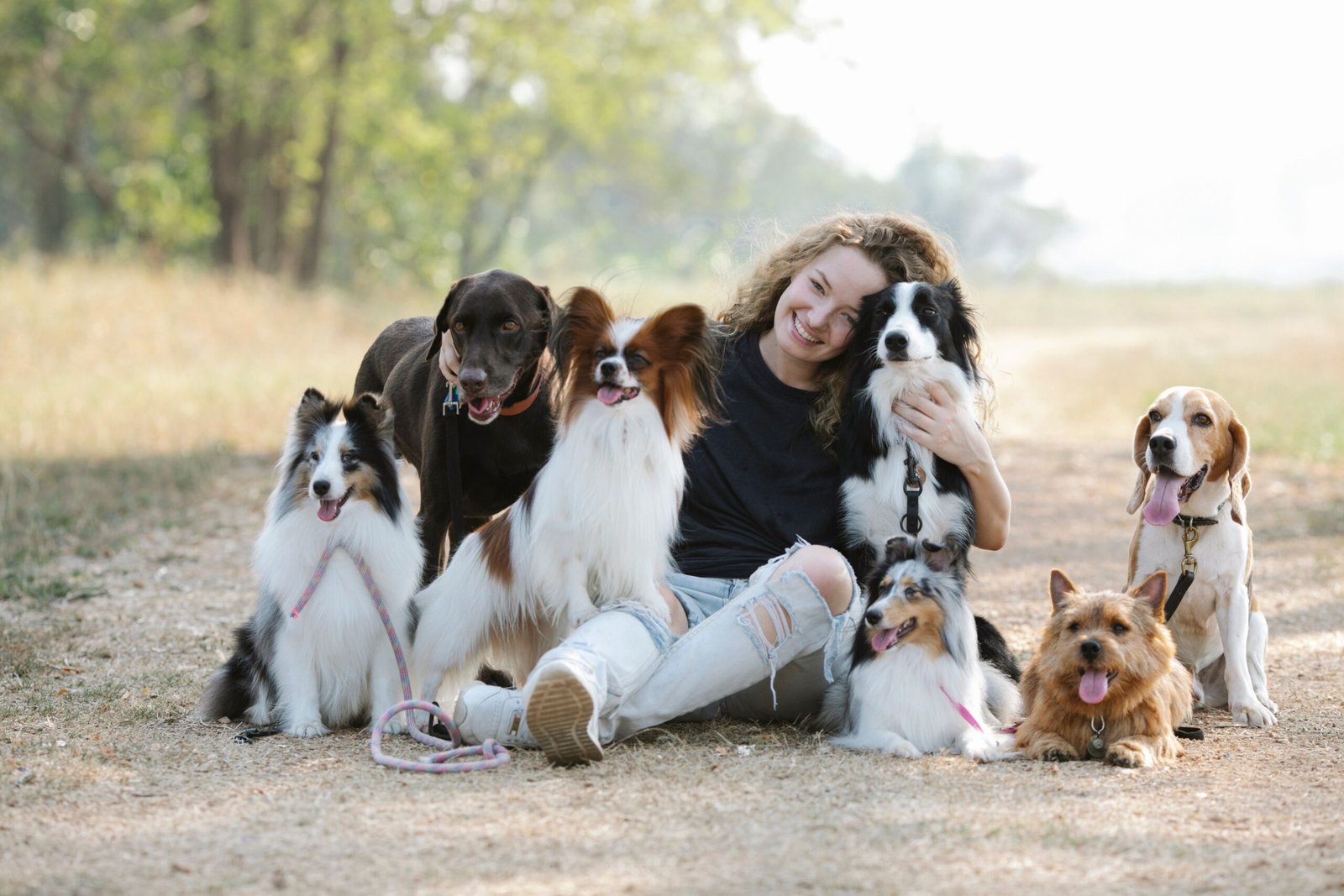 10 Best Dog Breeds for First-Time Owners