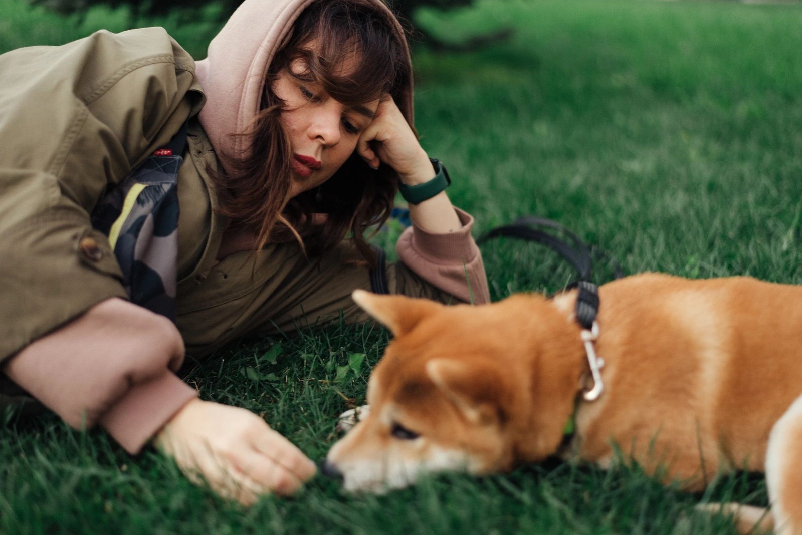Signs Your Pet Might Be Depressed—and What to Do About It
