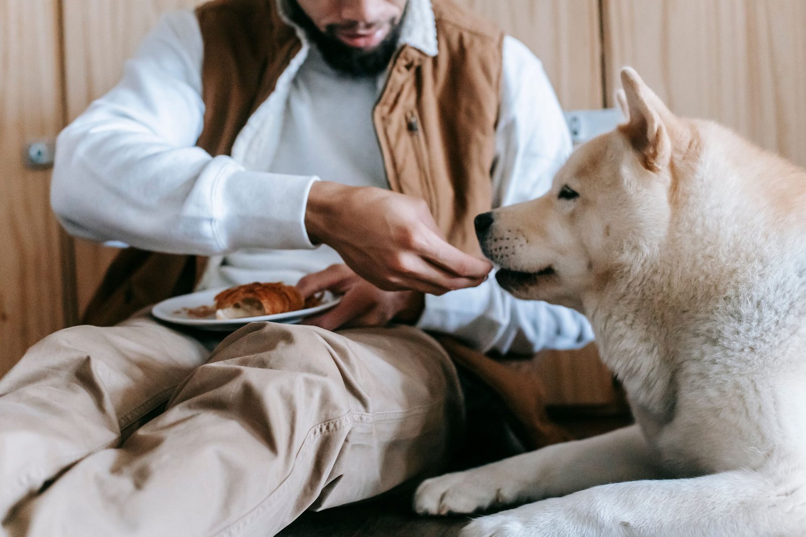 Homemade Dog Food Recipes Vets Actually Recommend
